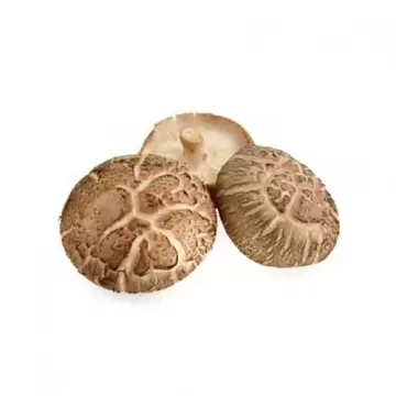 Gljive Shiitake svježe BIO kg-0