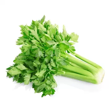 Celer BIO kg-0