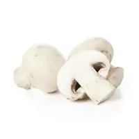 Šampinjoni BIO kg