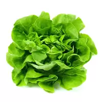 Salata svježa BIO kg