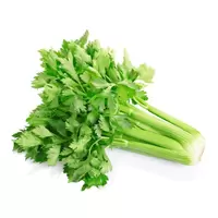 Celer BIO kg