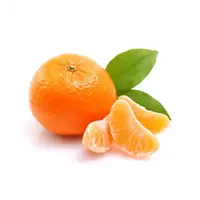 Mandarine BIO kg